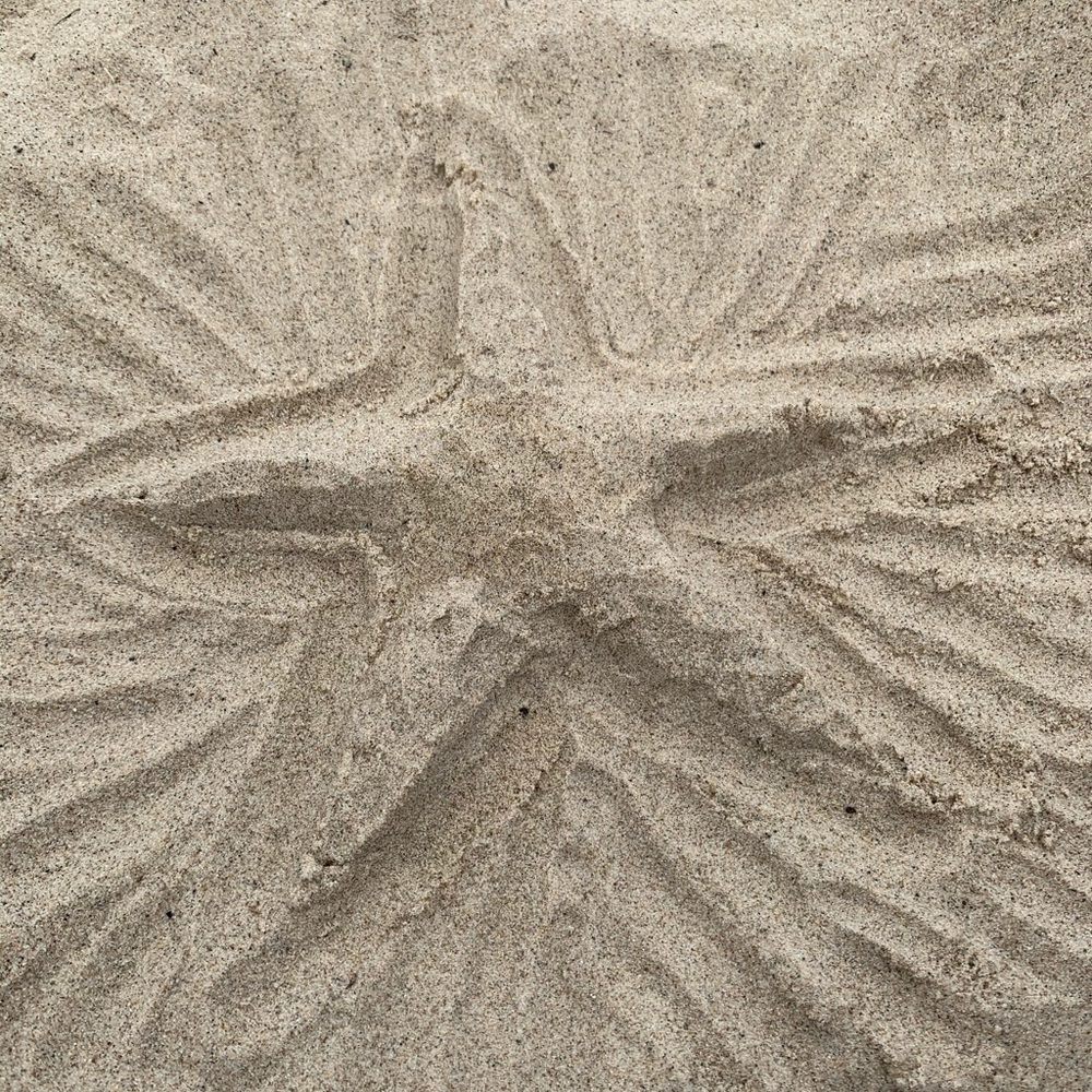 Meet your Posher, Fatima